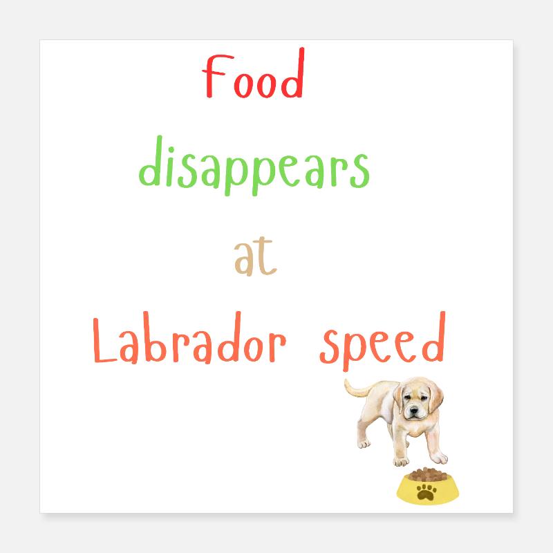 Labrador Essen Verschwinden Verspieltes Design Poster 40x40 cm