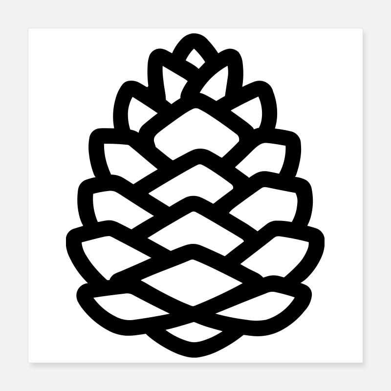 Pomme de Pin Poster 40 x 40 cm