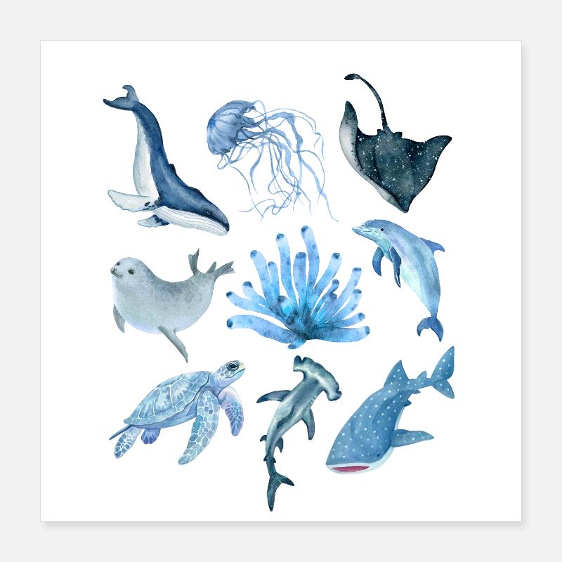 Animaux de l’océan Poster 40 x 40 cm