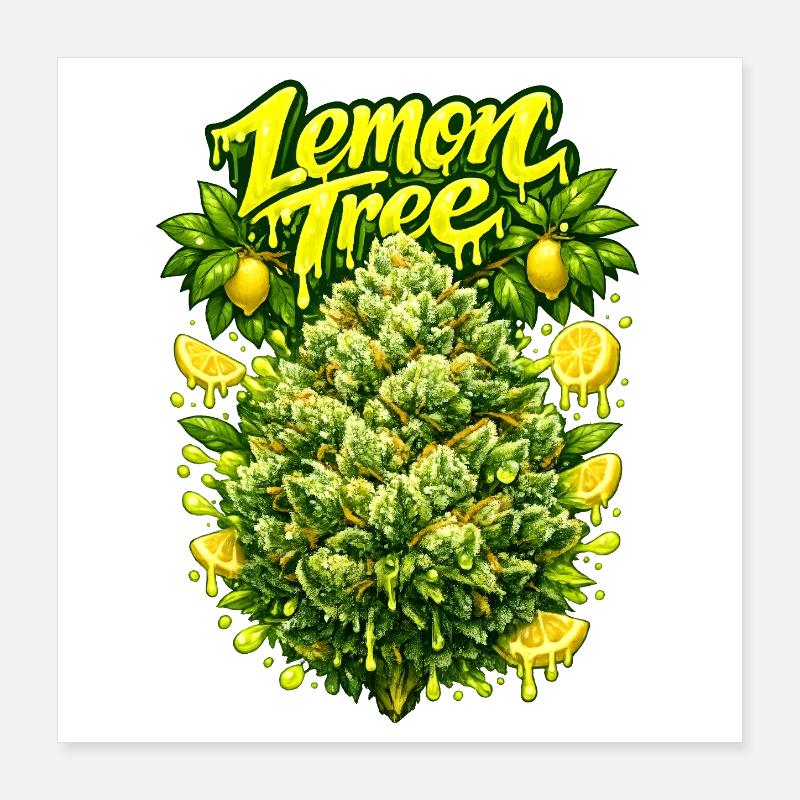 Lemon Tree Graffiti Art Print Poster 16" x 16" (40x40 cm)
