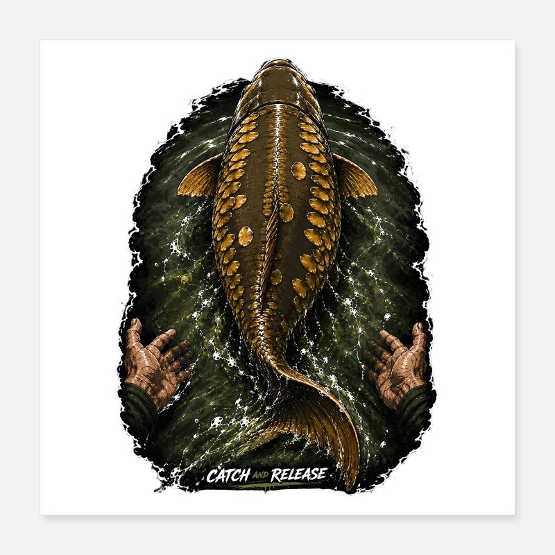 Catch & Release Karpfenfischen Poster 40x40 cm