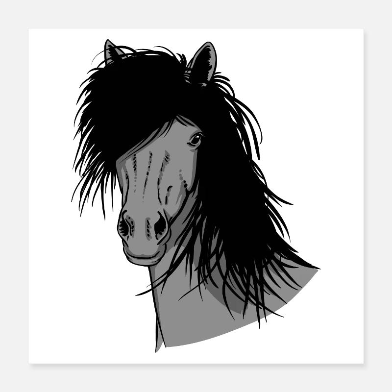 Islandais Portrait Poster 40 x 40 cm