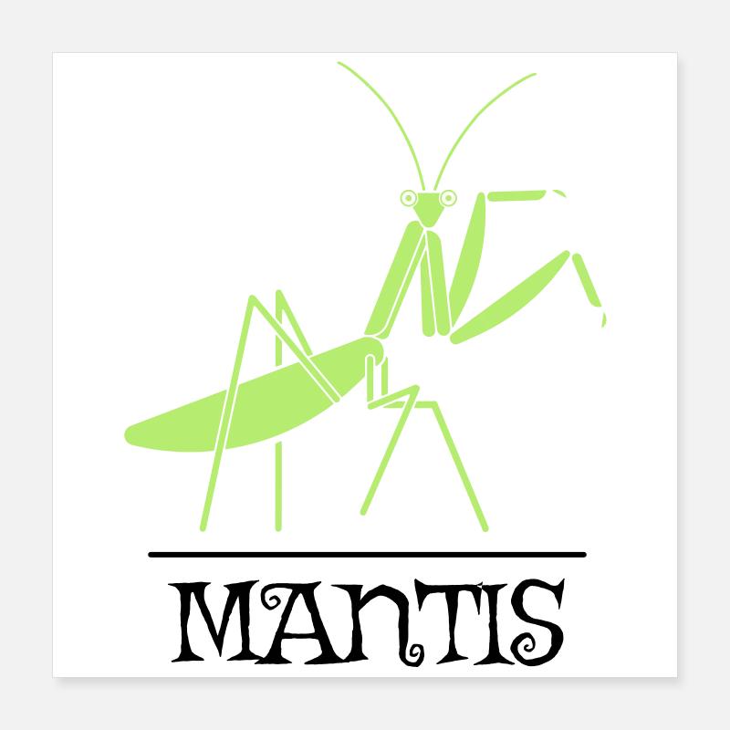 Mantis Gottesanbeterin Insekt Design Poster 40x40 cm