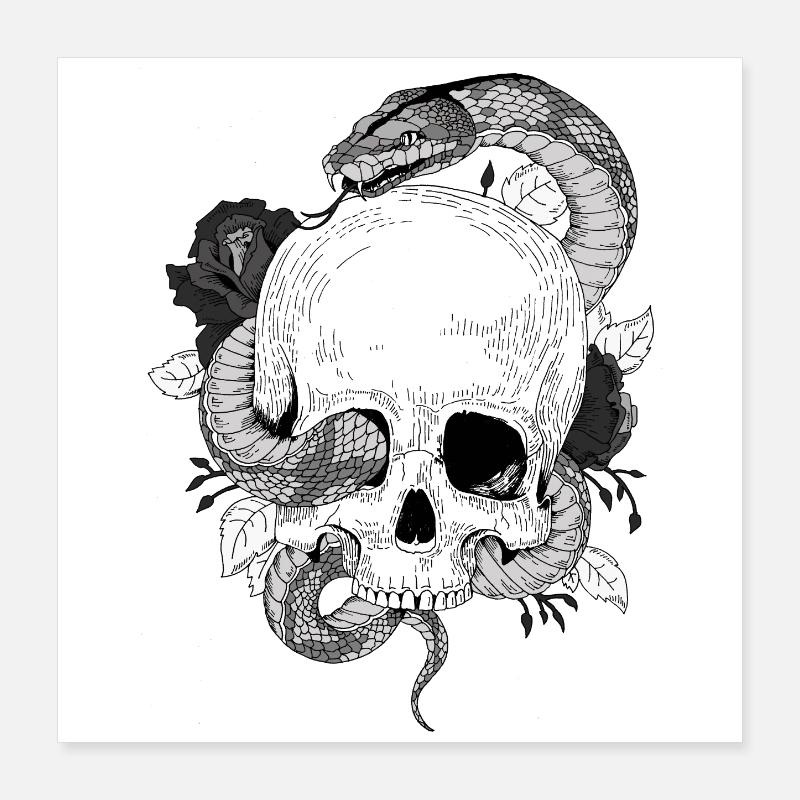 pyton 1 Poster 40 x 40 cm