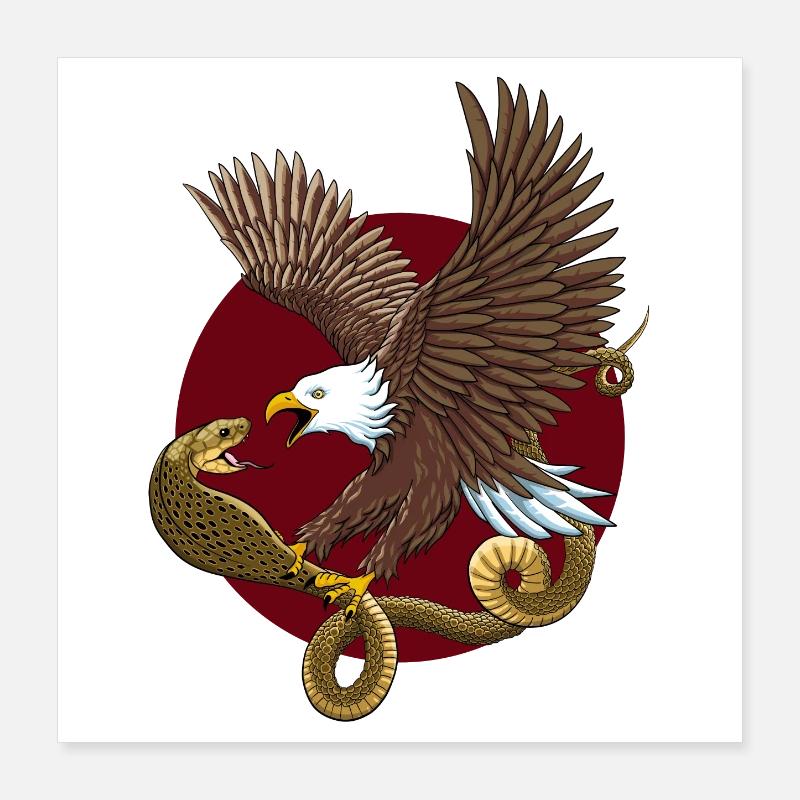 Aigle et serpent Poster 40 x 40 cm