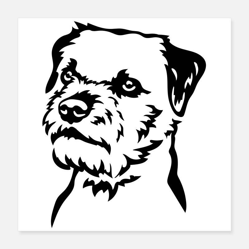 Border Terrier Head Poster 16" x 16" (40x40 cm)