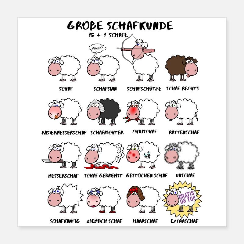 Große Schafkunde Poster 40x40 cm