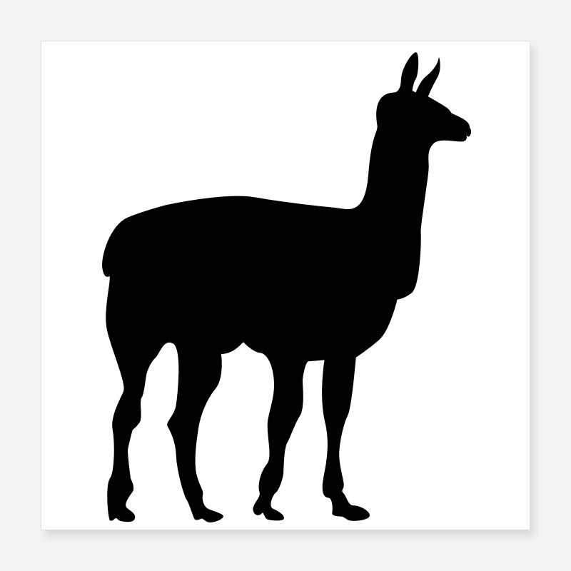 lama Poster 40x40 cm