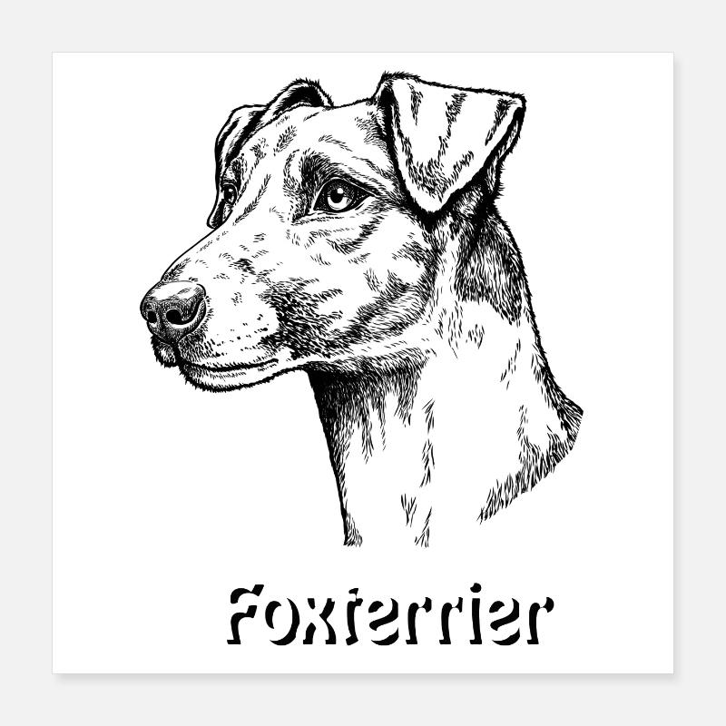 Foxterrier Glatthaar Portrait Poster 40x40 cm