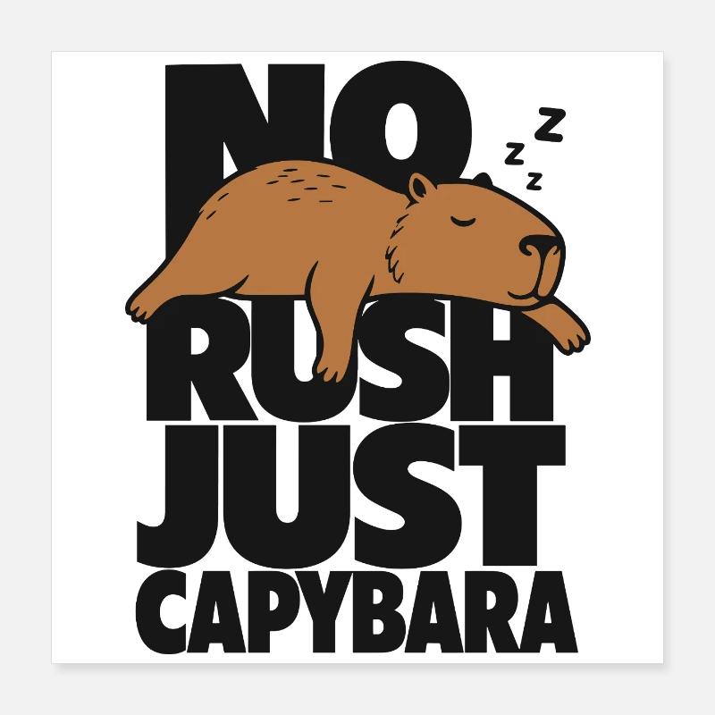 Pas d’urgence, juste du capybara Poster 40 x 40 cm