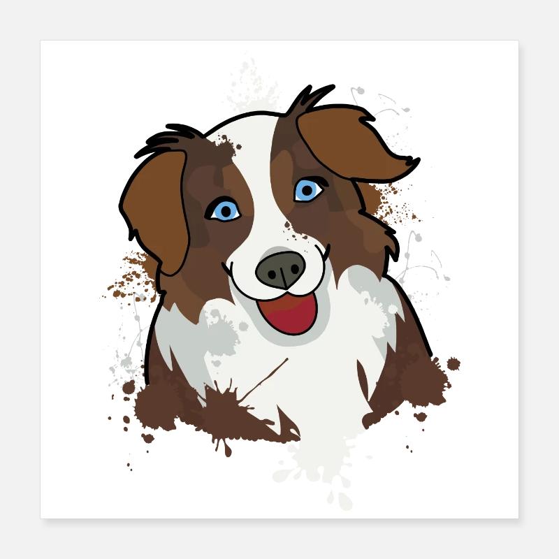 Australian Shepherd Poster 40x40 cm