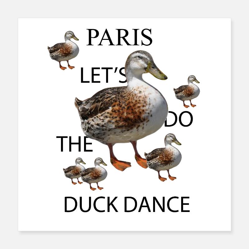 Danse du canard Poster 40 x 40 cm