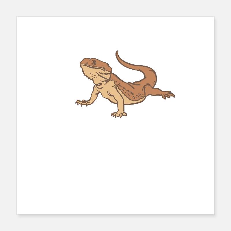 Bearded dragon Poster 16" x 16" (40x40 cm)