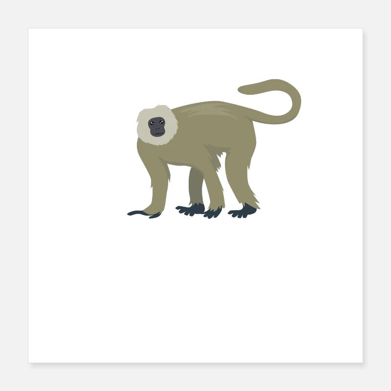 Langur élégant Poster 40 x 40 cm
