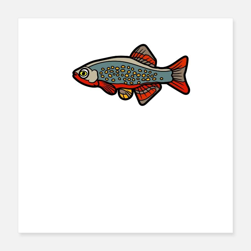 Active Danio Poster 16" x 16" (40x40 cm)