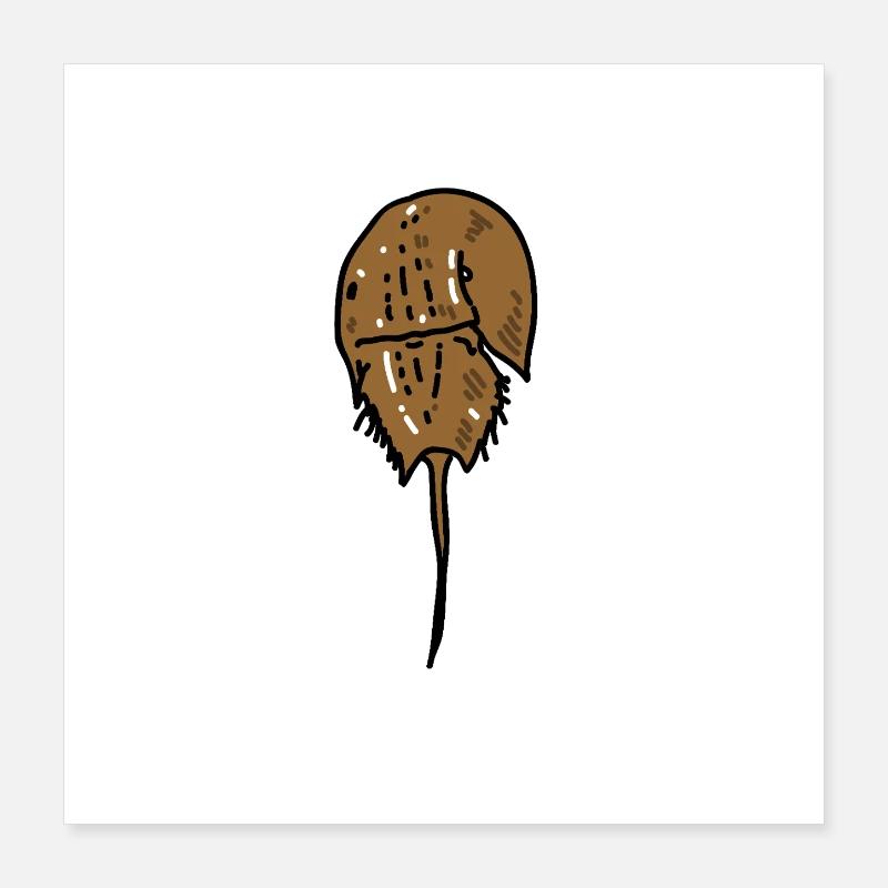 Ancient Horseshoe Crab Poster 16" x 16" (40x40 cm)