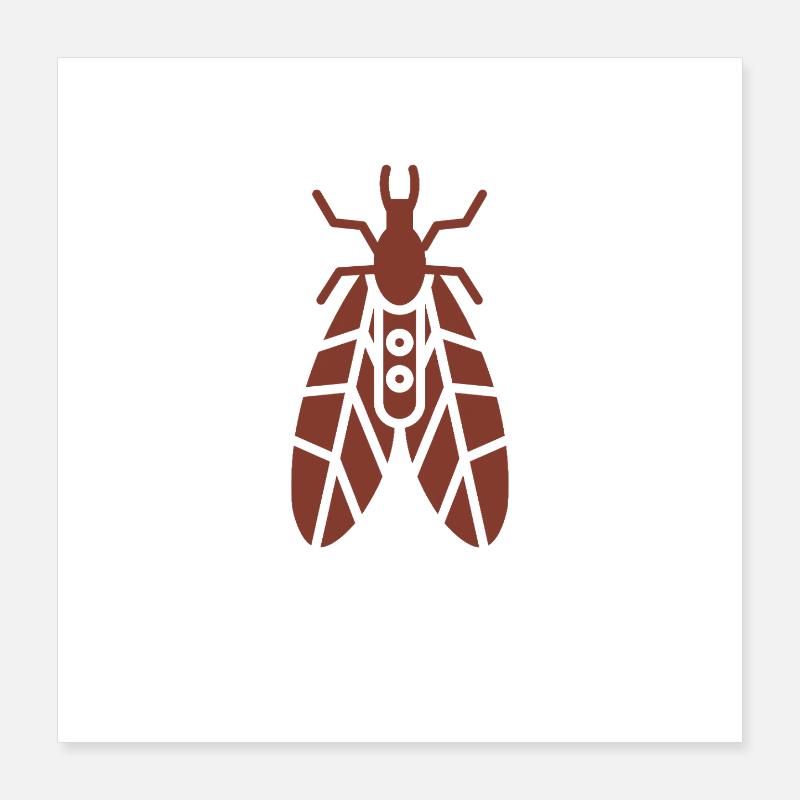 Zerbrechliche Köcherfliege Poster 40x40 cm