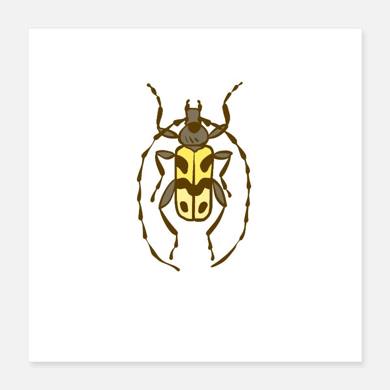 Longicorne élégant Poster 40 x 40 cm