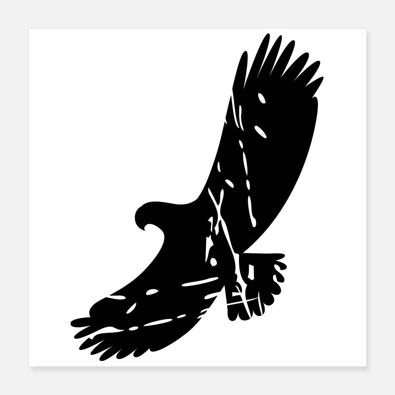 aigle Poster 40 x 40 cm
