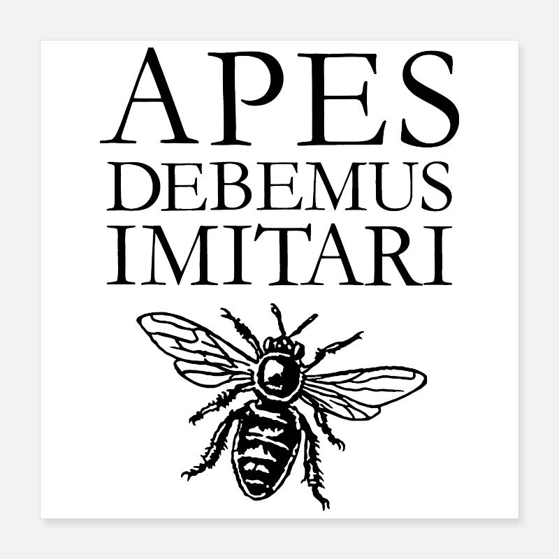 APES DEBEMUS IMITARI bee, beekeeping, beekeeper Poster 16" x 16" (40x40 cm)