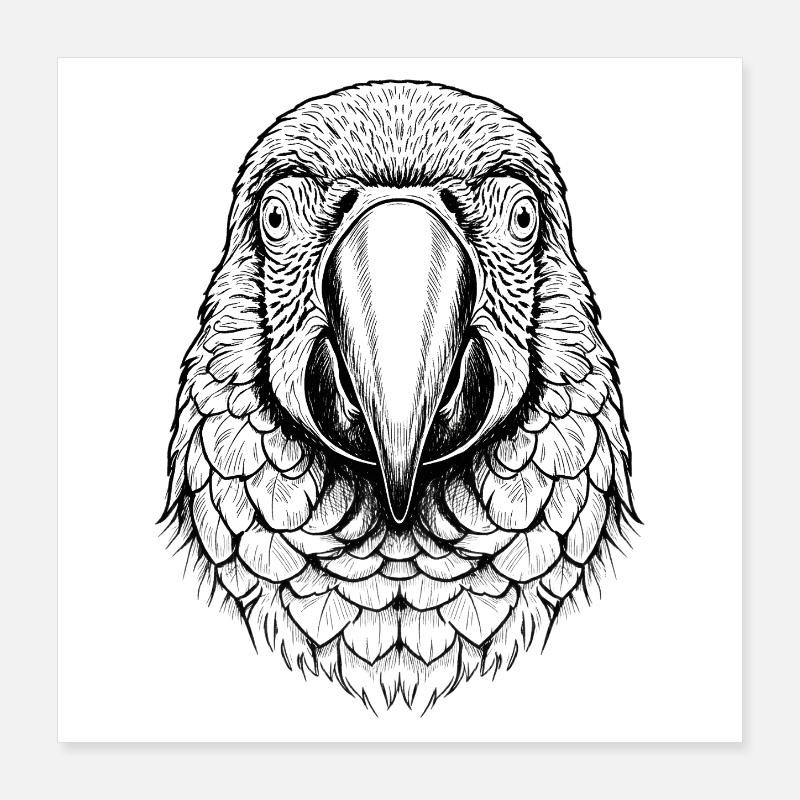 Macaw Parrot Poster 16" x 16" (40x40 cm)