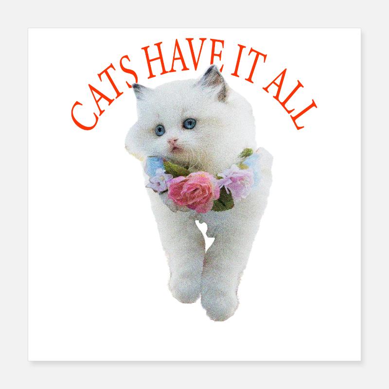 Sassy Katze Poster 40x40 cm