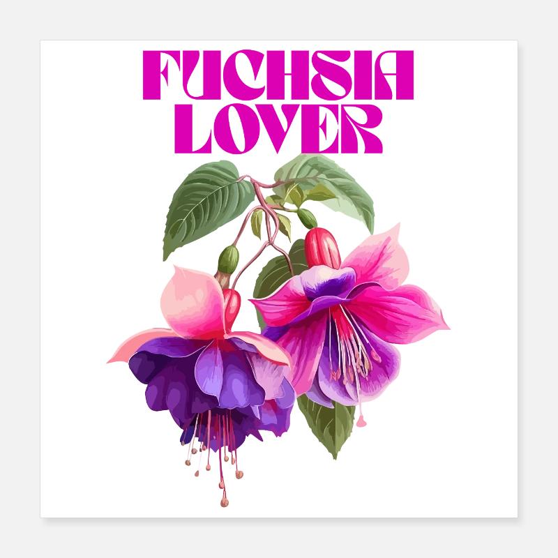 Fuchsia Lover Botanical Illustration Poster 16" x 16" (40x40 cm)