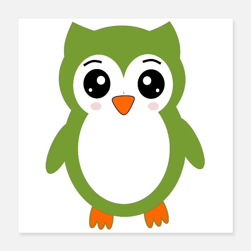 Eule grüne Eule Poster 40x40 cm