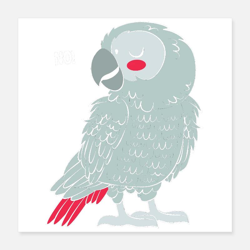 Perroquet gris Perroquet gris Poster 40 x 40 cm