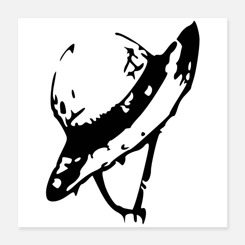 straw hat scheme Poster 16" x 16" (40x40 cm)