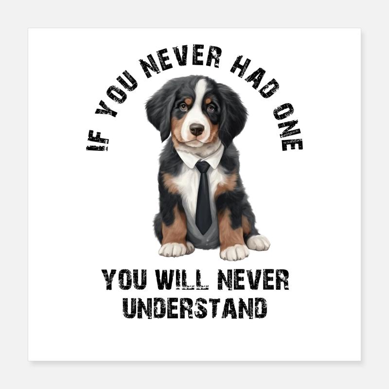 Bouvier bernois Poster 40 x 40 cm