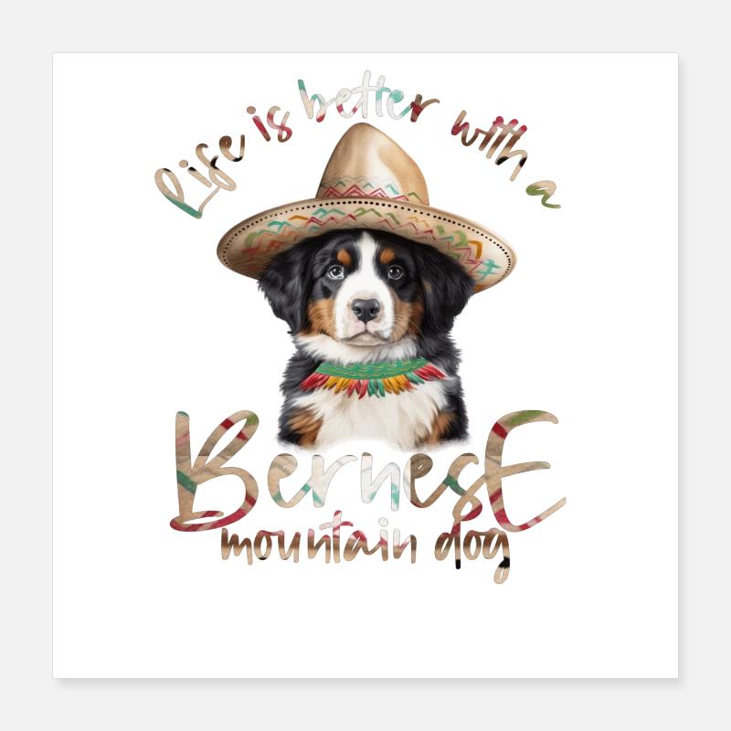 Bouvier bernois Poster 40 x 40 cm