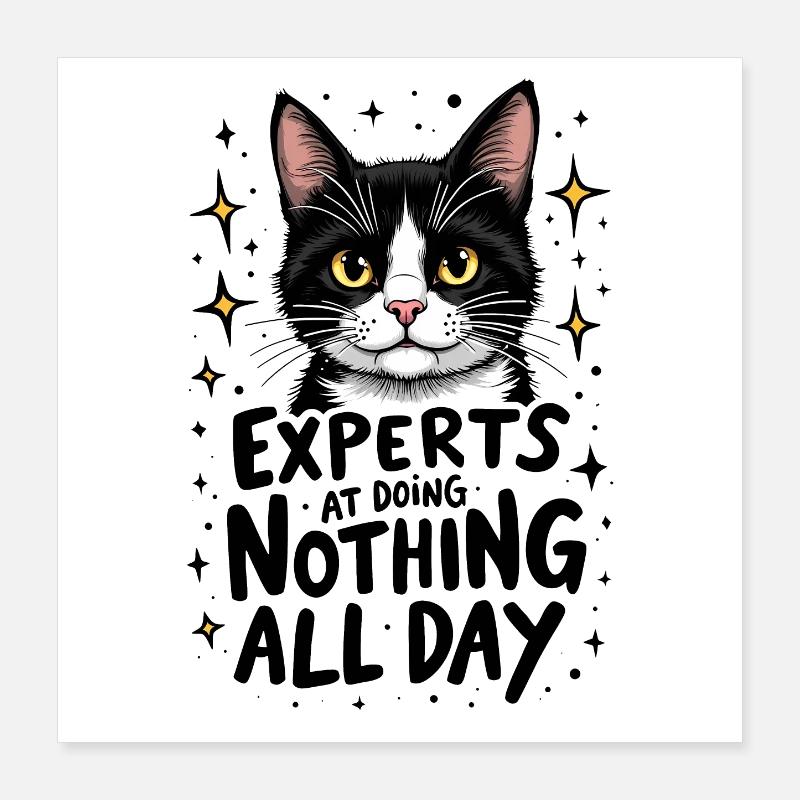 CATS: EXPERTS AT DOING NOTHING ALL DAY Poster 16" x 16" (40x40 cm)