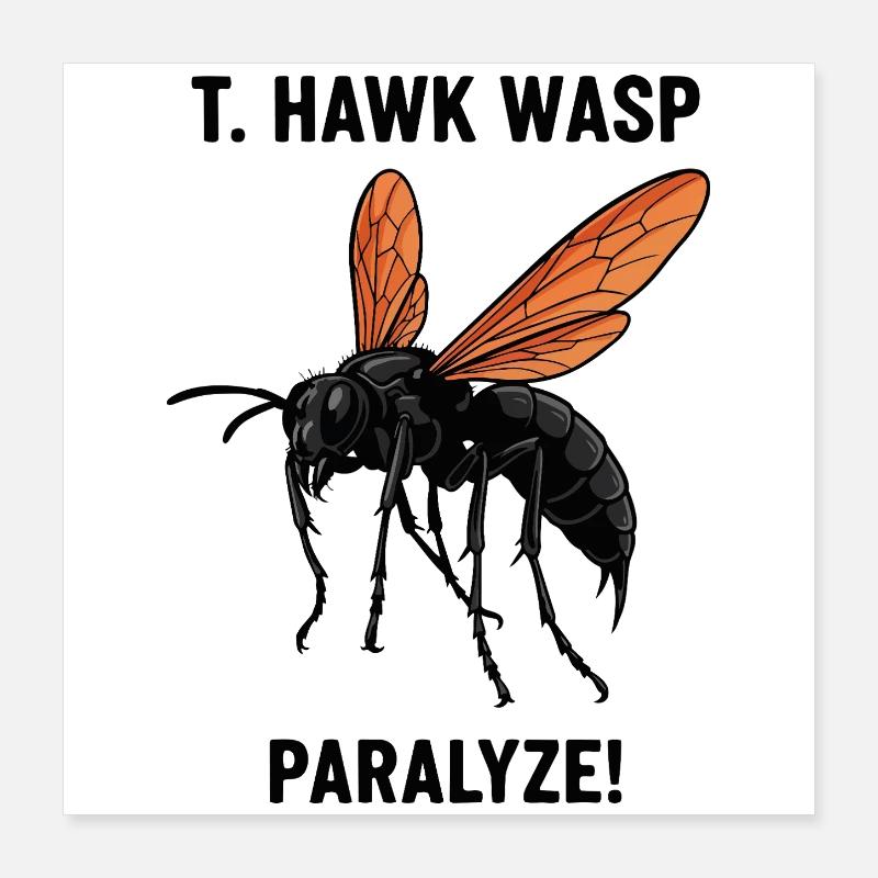 Guêpe Pepsis Danger Paralyse Tarantula Hawk Poster 40 x 40 cm