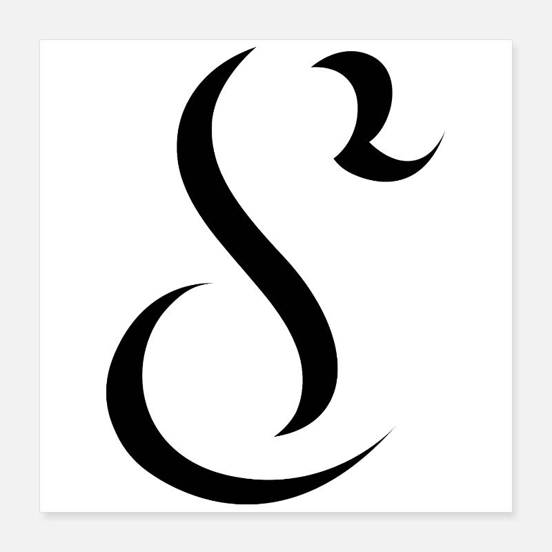 Letter S, Name, der Buchstabe S Poster 40x40 cm