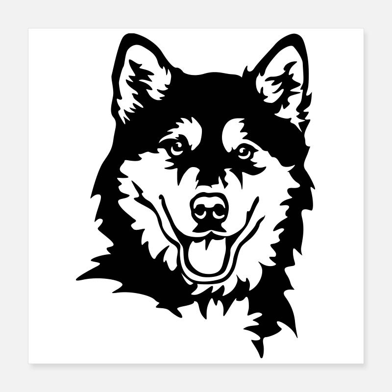 Alaskan Malamute Head Poster 16" x 16" (40x40 cm)