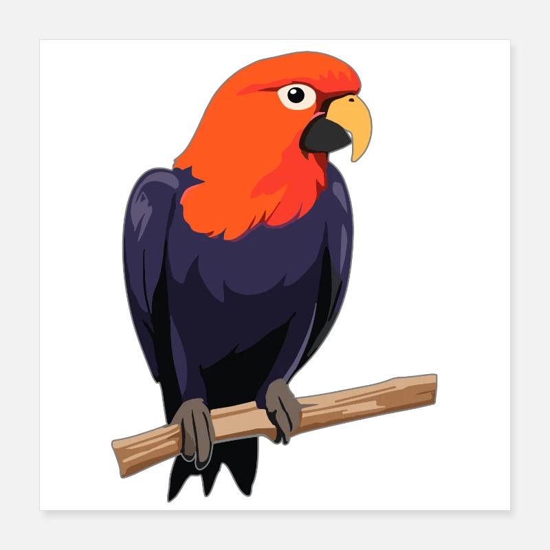 Parrot Bird Poster 16" x 16" (40x40 cm)
