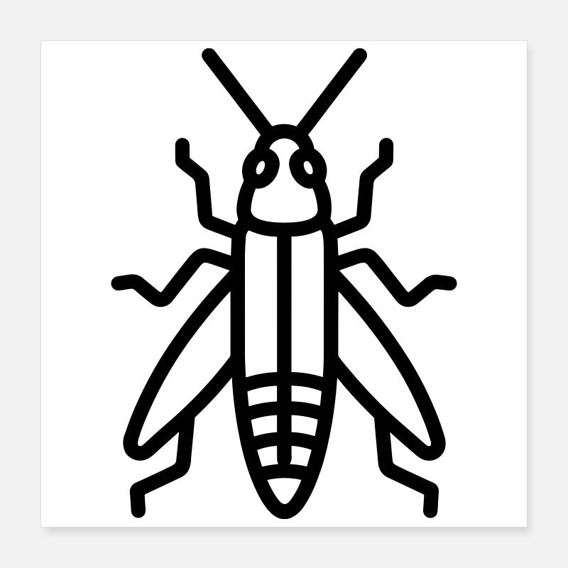 grasshopper Poster 16" x 16" (40x40 cm)