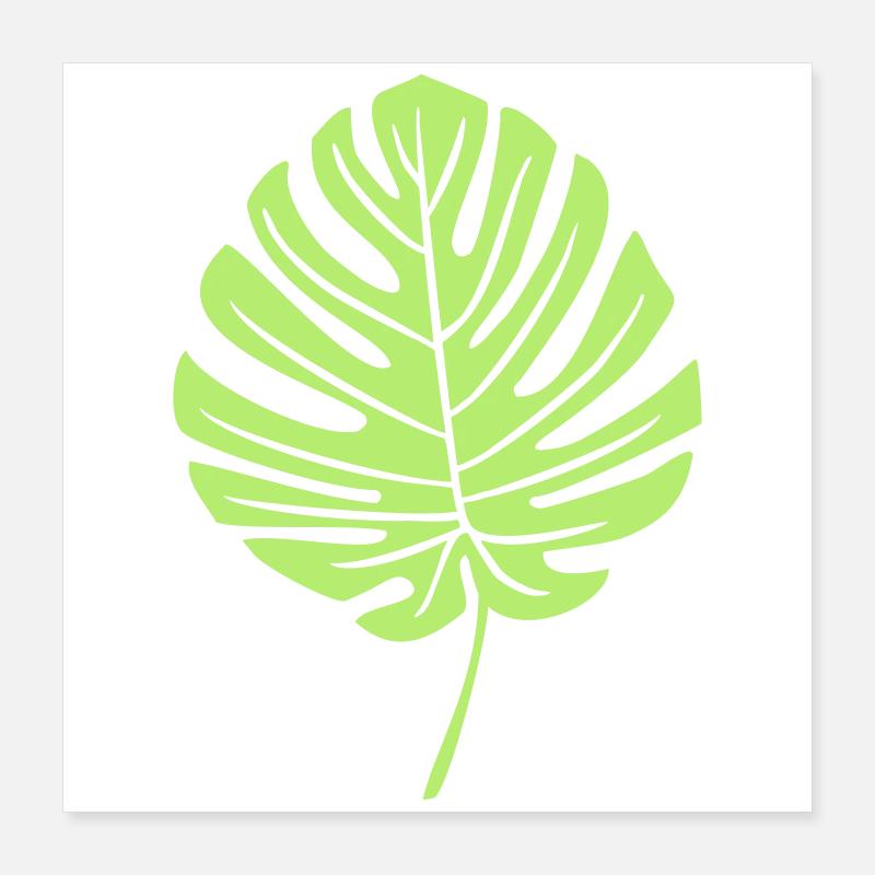 Feuille de Monstera Vert Poster 40 x 40 cm