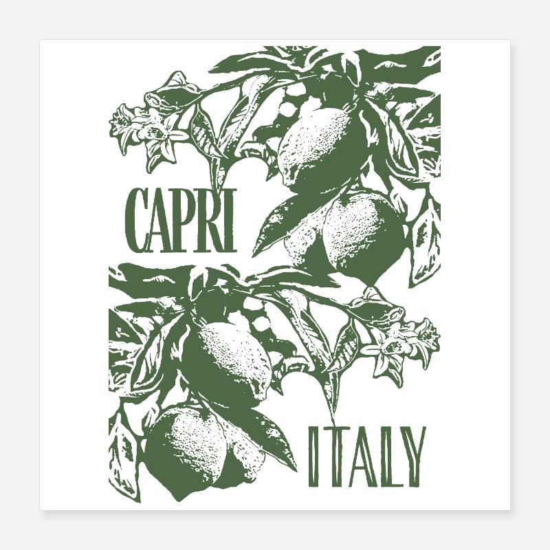 CAPRI ITALIE Poster 40 x 40 cm