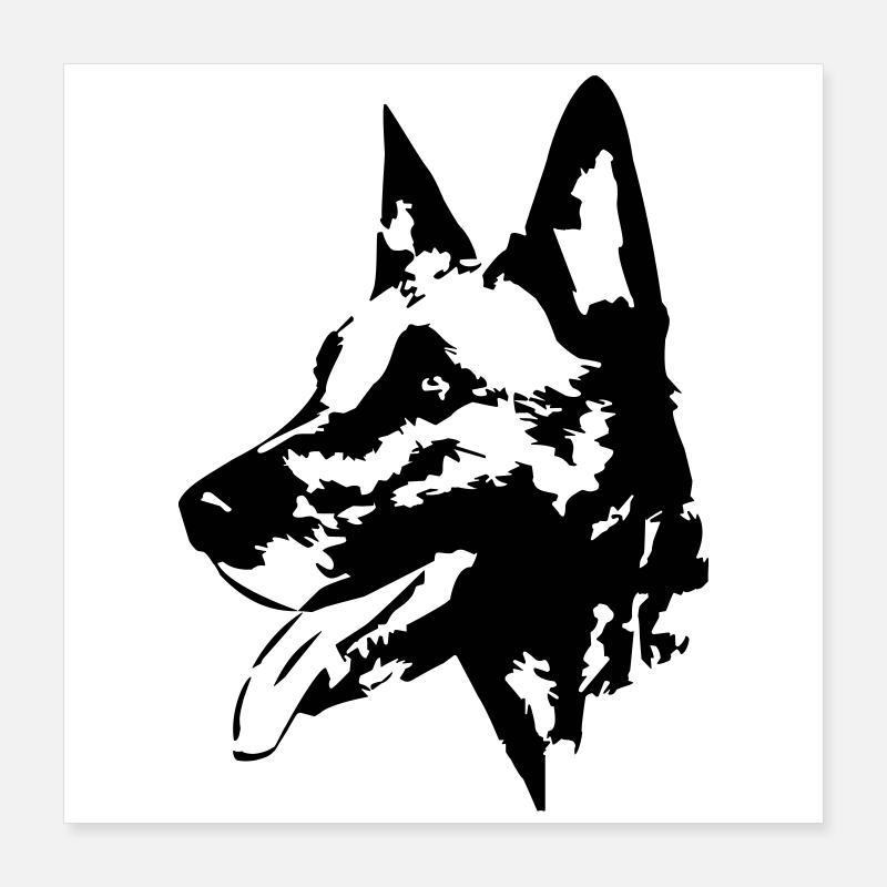 Tête malinoise Poster 40 x 40 cm