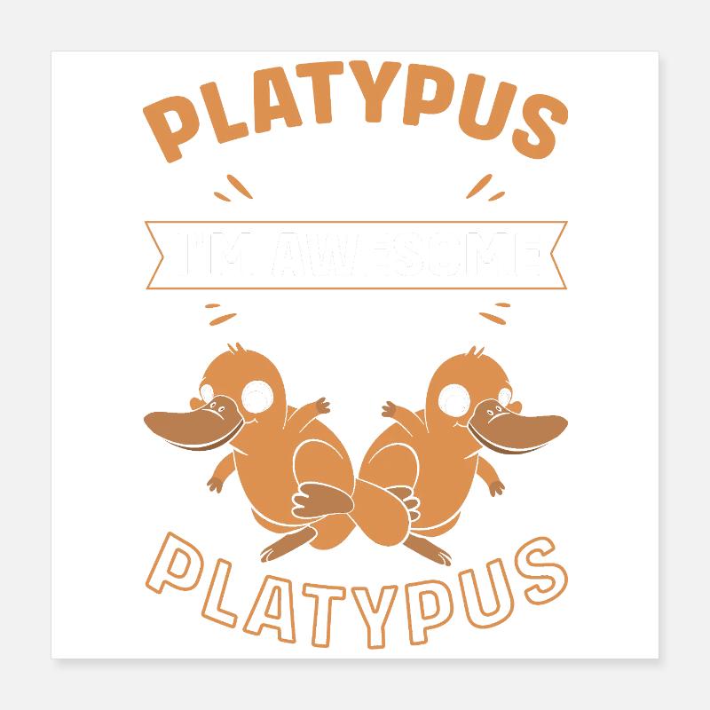 platypus Poster 16" x 16" (40x40 cm)