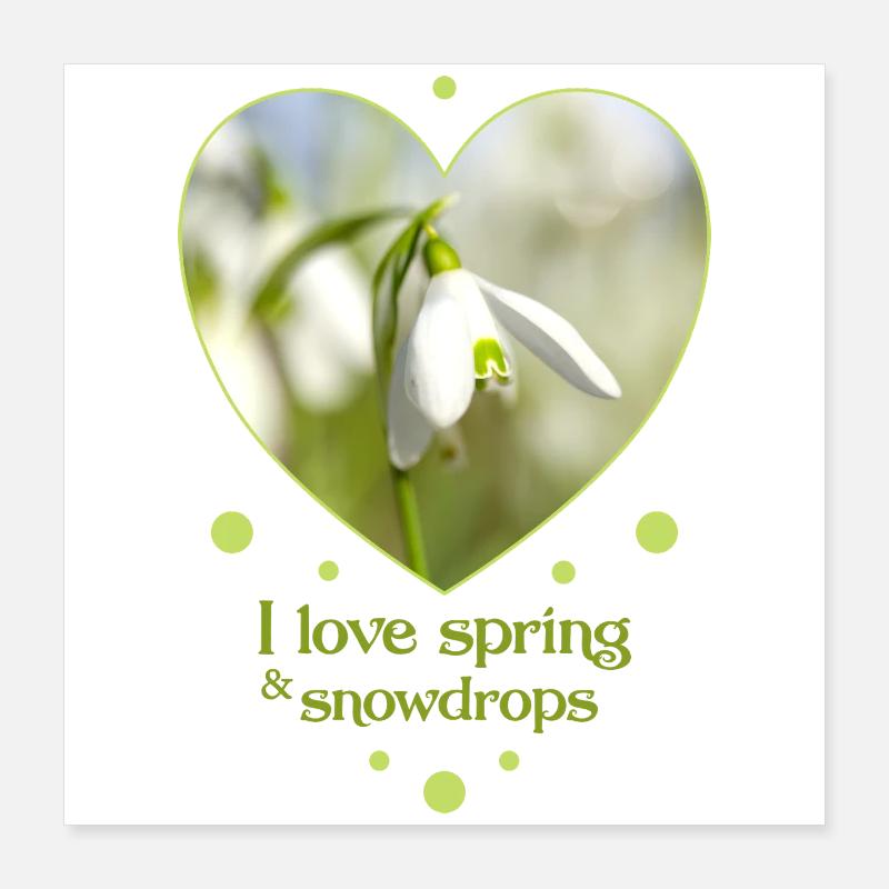 Heart design snowdrop spring i love spring Poster 16" x 16" (40x40 cm)