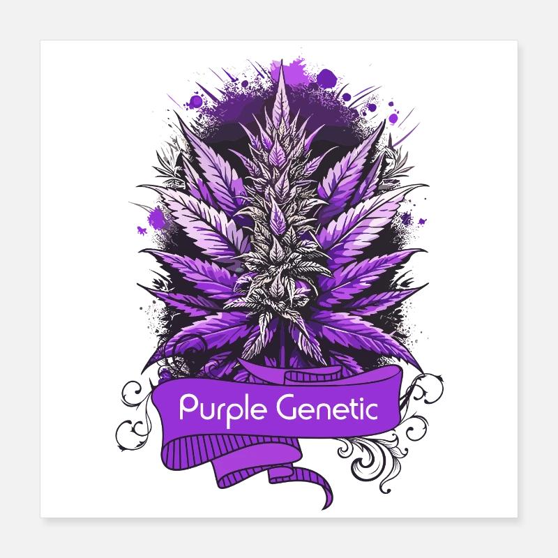 Purple Genetic Poster 40x40 cm