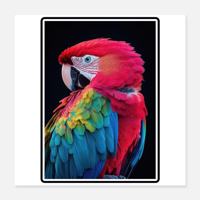 Aras Ara Poster 40x40 cm