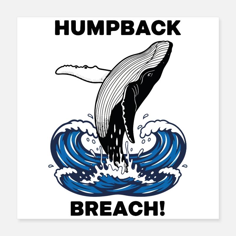 Baleine à Bosse Breach Mer Humpback Whale Poster 40 x 40 cm