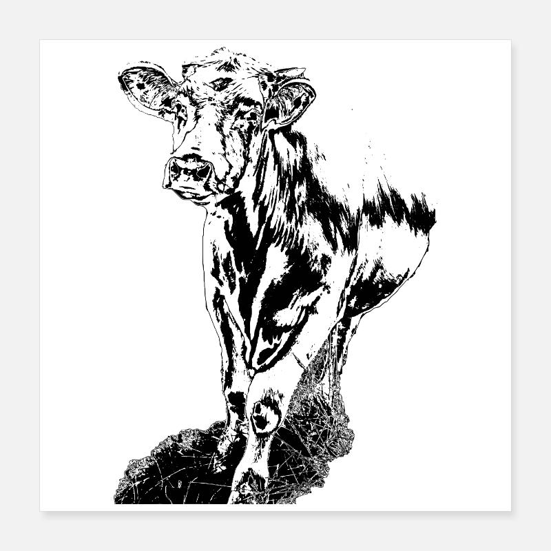 Vache Noir Blanc Bande Dessinée Poster 40 x 40 cm