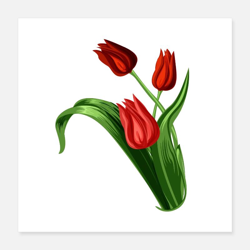 Illustration élégante de tulipes rouges Poster 40 x 40 cm