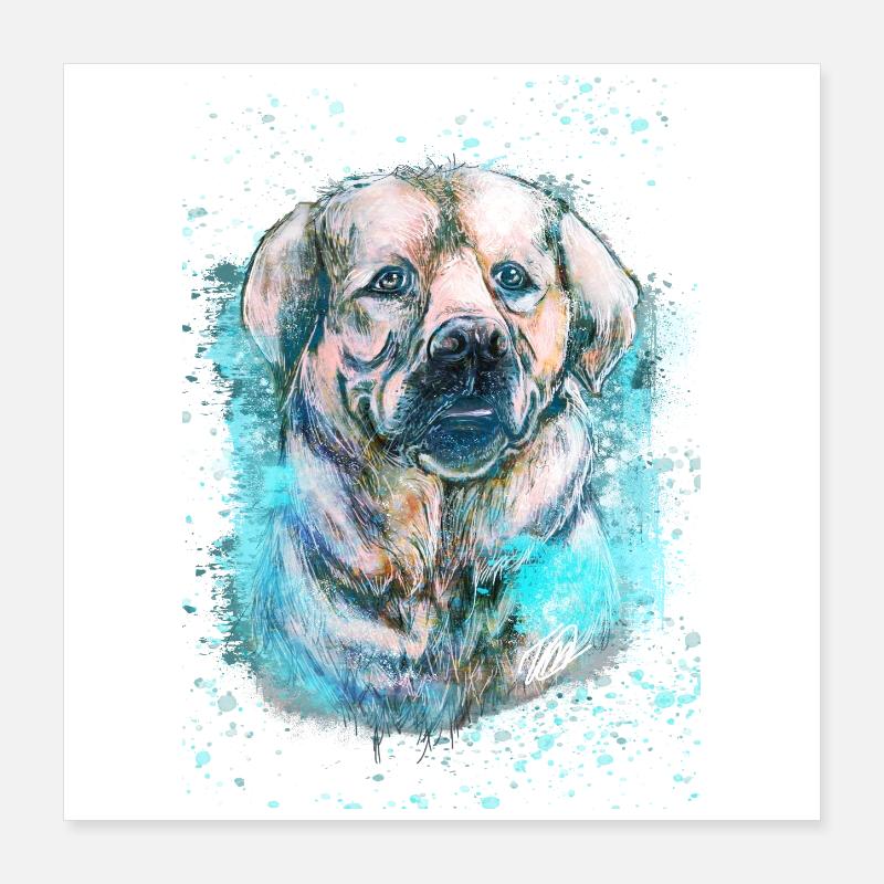 labrador Iceblue Poster 40x40 cm