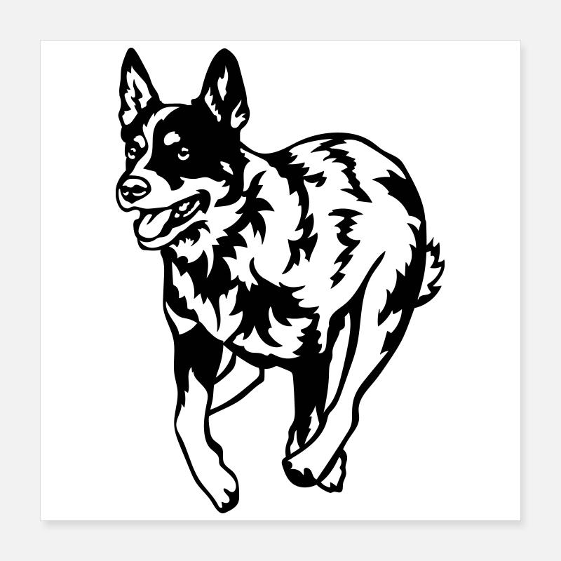 Bouvier australien Poster 40 x 40 cm